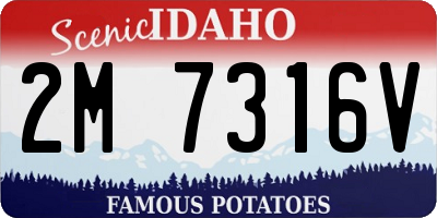 ID license plate 2M7316V