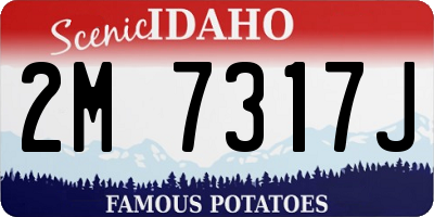 ID license plate 2M7317J