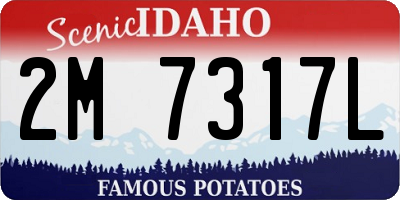 ID license plate 2M7317L