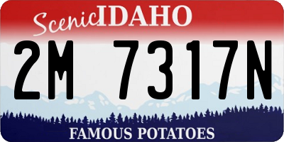 ID license plate 2M7317N