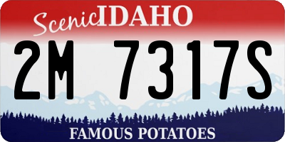 ID license plate 2M7317S
