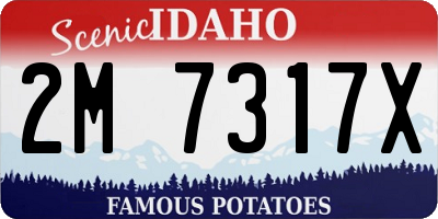 ID license plate 2M7317X