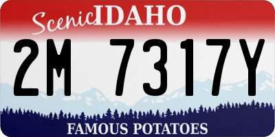 ID license plate 2M7317Y