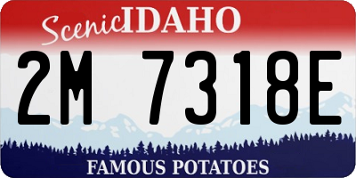 ID license plate 2M7318E