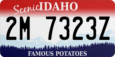 ID license plate 2M7323Z