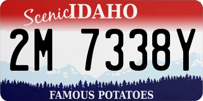 ID license plate 2M7338Y
