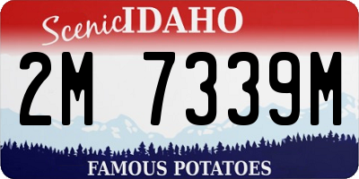 ID license plate 2M7339M