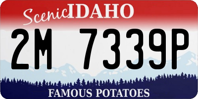 ID license plate 2M7339P