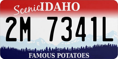 ID license plate 2M7341L