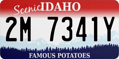 ID license plate 2M7341Y