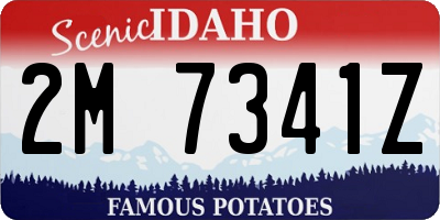 ID license plate 2M7341Z