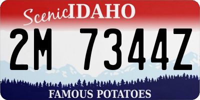 ID license plate 2M7344Z