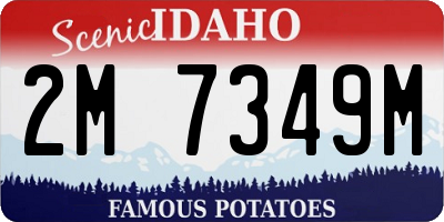 ID license plate 2M7349M