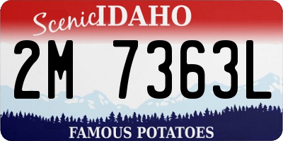 ID license plate 2M7363L