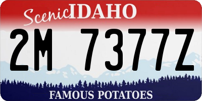 ID license plate 2M7377Z