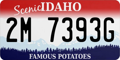 ID license plate 2M7393G