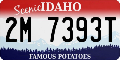ID license plate 2M7393T