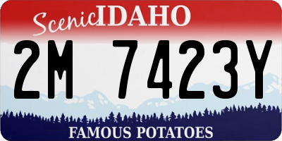 ID license plate 2M7423Y
