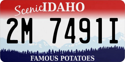 ID license plate 2M7491I