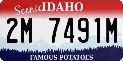 ID license plate 2M7491M
