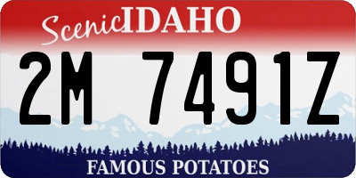 ID license plate 2M7491Z