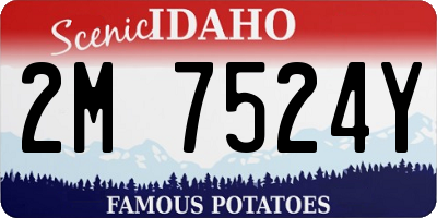 ID license plate 2M7524Y