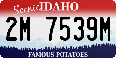 ID license plate 2M7539M
