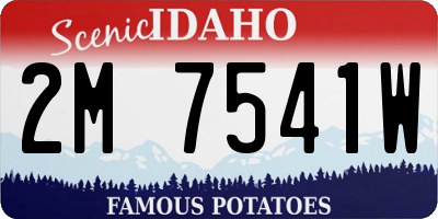 ID license plate 2M7541W