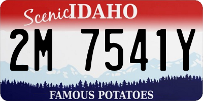 ID license plate 2M7541Y
