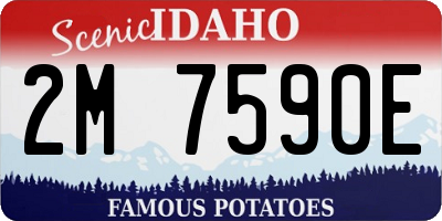 ID license plate 2M7590E