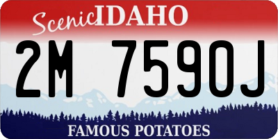 ID license plate 2M7590J