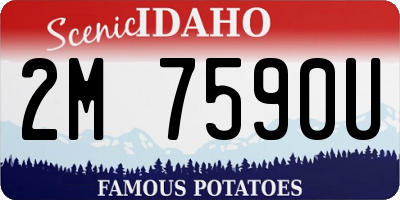 ID license plate 2M7590U