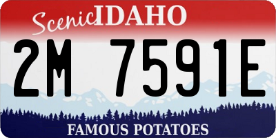ID license plate 2M7591E