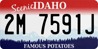 ID license plate 2M7591J