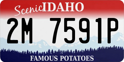 ID license plate 2M7591P