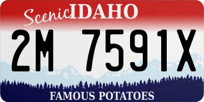 ID license plate 2M7591X