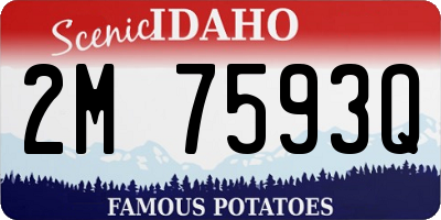 ID license plate 2M7593Q