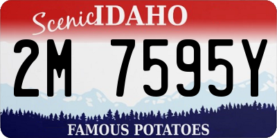 ID license plate 2M7595Y