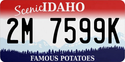 ID license plate 2M7599K