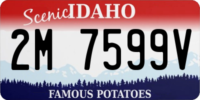 ID license plate 2M7599V