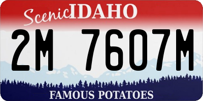 ID license plate 2M7607M