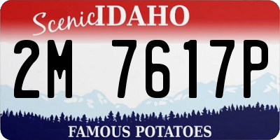 ID license plate 2M7617P