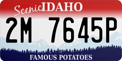 ID license plate 2M7645P