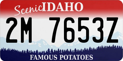 ID license plate 2M7653Z