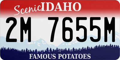 ID license plate 2M7655M