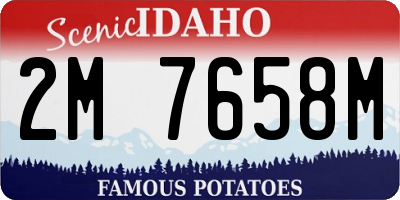 ID license plate 2M7658M