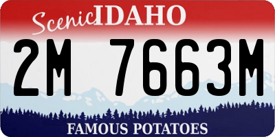 ID license plate 2M7663M
