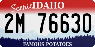 ID license plate 2M7663O