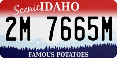 ID license plate 2M7665M