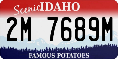 ID license plate 2M7689M